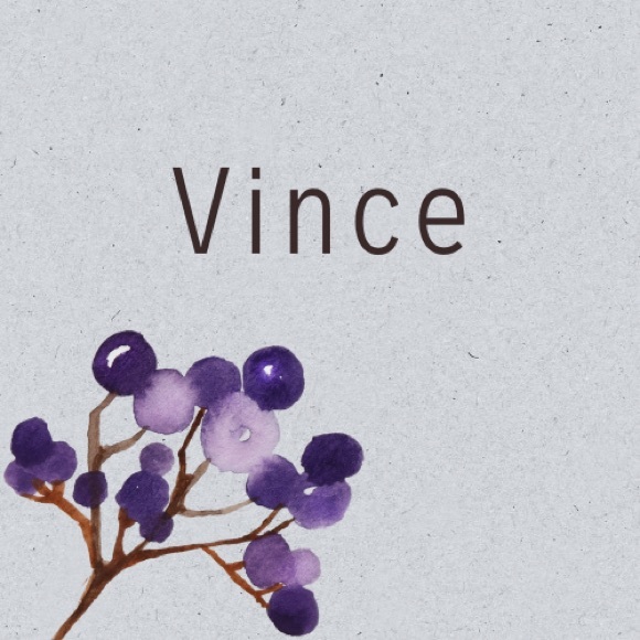 Vince Tops - The best Vince collection ready for fall ❤️